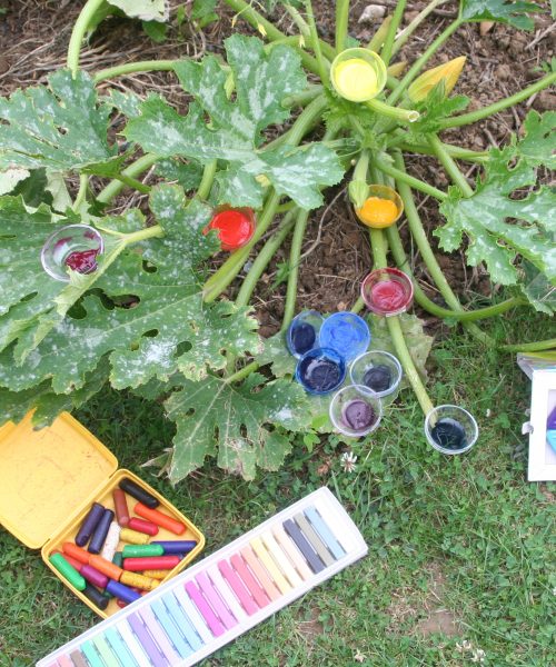 Sandrine Fresnard art-therapie fais-toi jardinier (33)